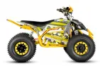 ELECTRIC QUAD BIKE VOLT EV