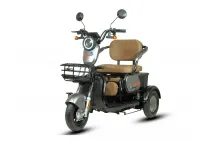 ELEKTRINIS TRIRATIS MOBILUMO SKUTERIS SENJORAMS PRAKTIK1 EKO