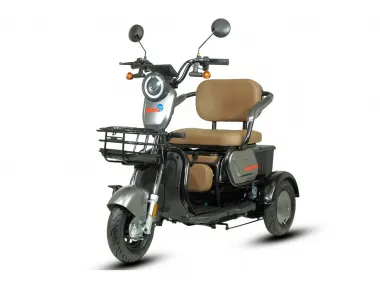 ELEKTRINIS TRIRATIS MOBILUMO SKUTERIS SENJORAMS PRAKTIK1 EKO