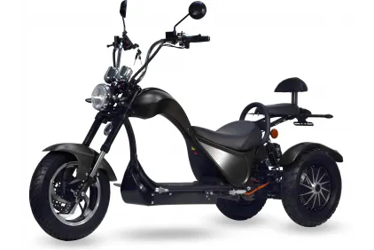 Elektrinis triratis motoroleris skuteris  CITYCOCO  2 varikliai po 2000WAT. Registruojamas važinėjimui gatvėse. Kategorija L2e-P