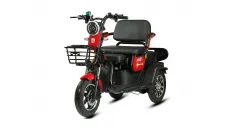 ELEKTRINIS TRIRATIS PRAKTIK1 MOBILUMO SKUTERIS SENJORAMS