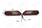 Tail light set for cargo electric tricycle fits KING BOX2  JP3900SAV  E mark