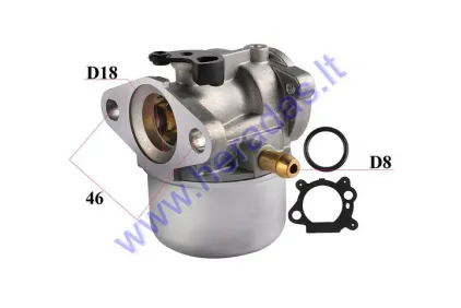 Karbiuratorius BRIGGS STRATTON 498170 varikliui