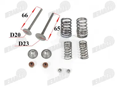 Keturračio motociklo 110cc variklio vožtuvų komplektas