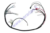 Wiring assembly (wire harness) for quad bike 125-250cc with horizontal engine GY6, Go Kart