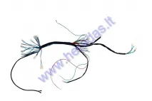 Wiring assembly kit (wire harness) for quad bike 125cc