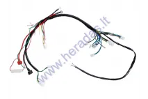 WIRING ASSEMBLY KIT (WIRE HARNESS) FOR QUAD BIKE 125CC