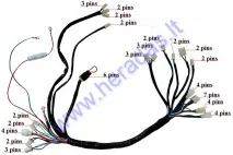 Wiring assembly (wire harness) for quad bike  200cc-230cc