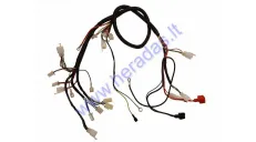 Wiring assembly (wire harness) for quad bike 200cc-250cc