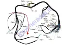 Wiring assembly (wire harness) for quad bike 200cc-250cc