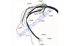 Wiring assembly (wire harness) for quad bike