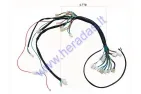 Wiring assembly (wire harness) for quad bike