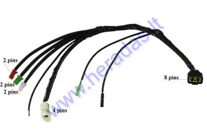 Quad bike moped ECU wiring fits CHAMP MONTANA