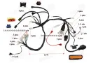Wiring for quad bike moped fits CHAMP MONTANA