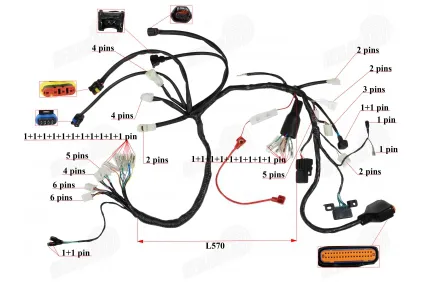 Wiring for quad bike moped fits CHAMP MONTANA