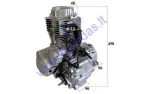 Quad bike engine Shineray 4-stroke 250cc 4 gears+reverse