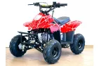Quad bike 110cc CRUSADER SUPer EDITION 6c