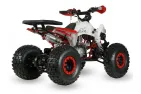 Keturratis benzininis 125CC ATV EAGLE