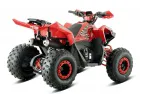 Keturratis benzininis 125CC ATV TERRAX OFF ROAD