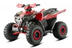 Keturratis benzininis 125CC ATV TERRAX OFF ROAD