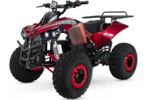 ELECTRIC QUAD BIKE 1000WAT WARRIOR (PLEASE CONTACT FOR THE SENDING TERMS AND PRICE: PARDUOTUVE@HERADAS.LT)