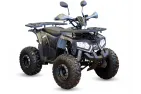 Keturratis motociklas 125cc TREX 8c