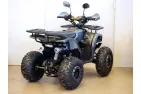 QUAD BIKE 125cc TREX 8c (PLEASE CONTACT FOR THE SENDING TERMS AND PRICE: PARDUOTUVE@HERADAS.LT)