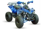 Benzininis Keturratis 125cc QWMOTO WARRIOR SUPER EDITION