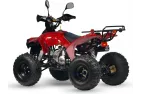 Benzininis Keturratis 125cc QWMOTO WARRIOR SUPER EDITION