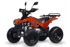 Benzininis Keturratis 125cc QWMOTO WARRIOR SUPER EDITION