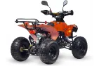 Benzininis Keturratis 125cc QWMOTO WARRIOR SUPER EDITION
