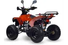 Benzininis Keturratis 125cc QWMOTO WARRIOR SUPER EDITION