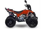 Benzininis Keturratis 125cc QWMOTO WARRIOR SUPER EDITION