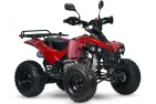 Benzininis Keturratis 125cc QWMOTO WARRIOR SUPER EDITION