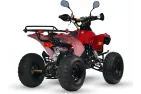Benzininis Keturratis 125cc QWMOTO WARRIOR SUPER EDITION
