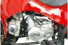 Benzininis Keturratis 125cc QWMOTO WARRIOR SUPER EDITION