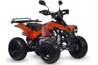 Benzininis Keturratis 125cc QWMOTO WARRIOR SUPER EDITION