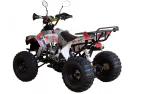 Benzininis Keturratis 125cc QWMOTO WARRIOR SUPER EDITION