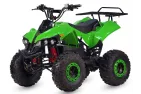 Quad bike 48V 1000WAT WARRIOR PRO with reduction gear