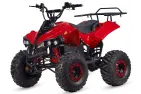 Quad bike 48V 1000WAT WARRIOR PRO with reduction gear