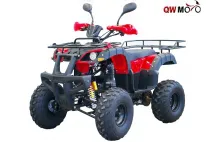 Quad bike HUNTER SUPER EDITION 250cc