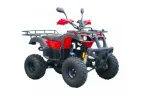 Quad bike HUNTER SUPER EDITION 250cc