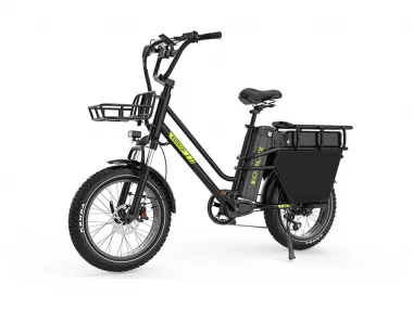 Cargo Electric Bicycle KOOLUX X8
