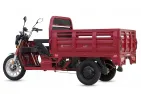 Electric cargo tricycle 72V 2800WAT DLS150  KING BOX3