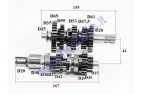 Krumpliaračiai greičių dėžės ATV keturračio motociklo analogas ATV250240