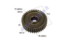 Gear for scooter