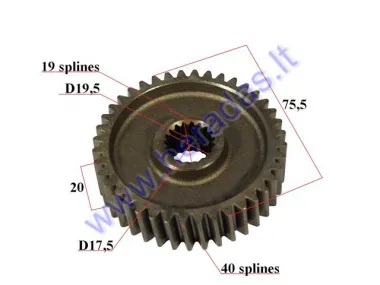 Gear for scooter