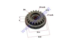 Krumpliaratis starterio motorolerio 20/47 dantys