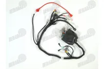 Laidai instaliaciniai motociklo, motorolerio tinka CHAMPION 300 CC CH300