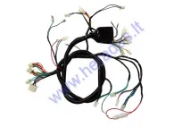 Wiring assembly (wire harness) for scooter GY6 50cc 10inch